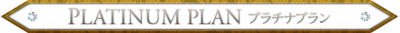 プラチナランキング